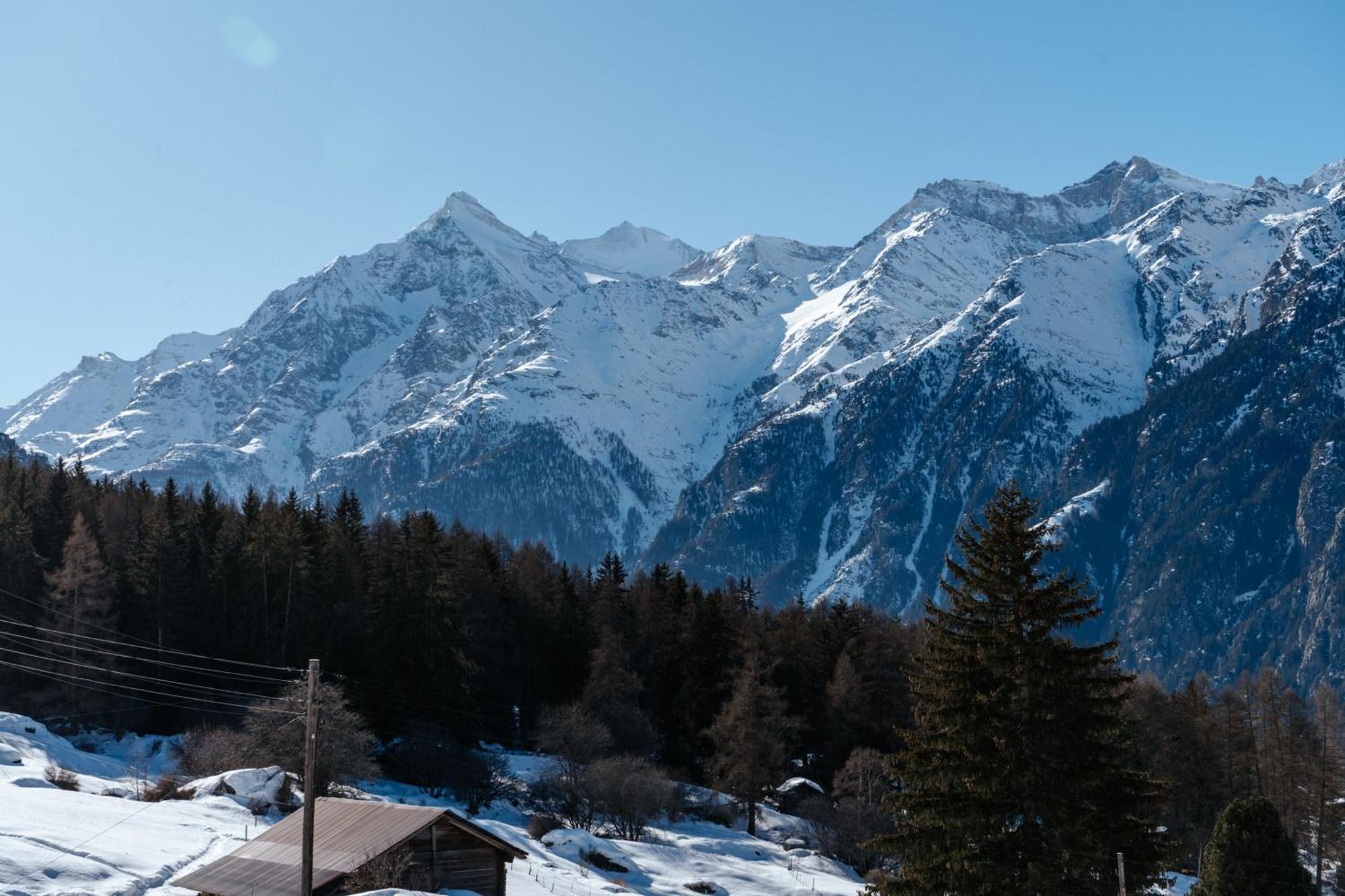Riebe 331 Lägenhet Grächen Exteriör bild