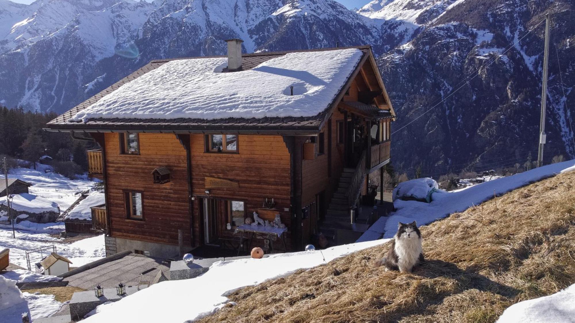 Riebe 331 Lägenhet Grächen Exteriör bild